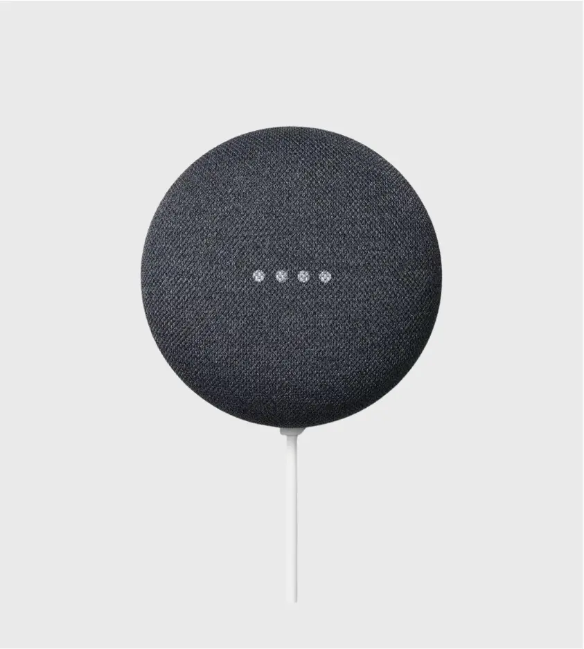 Google Nest Mini Speaker